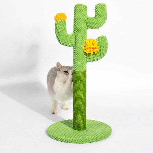 Chat'ctus™ - Le grattoir exotique 🌵