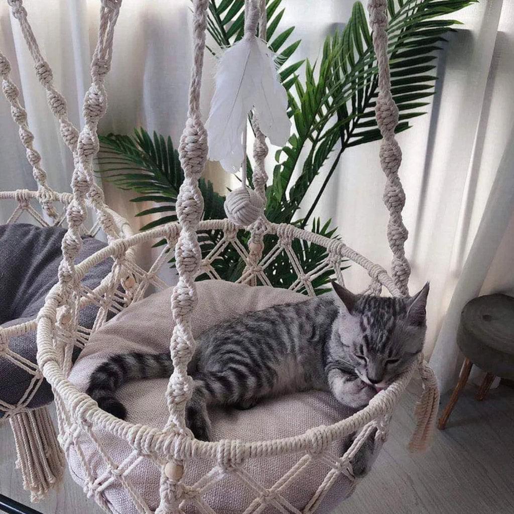 BoraBora™ - le futur nid de votre chat 🪺