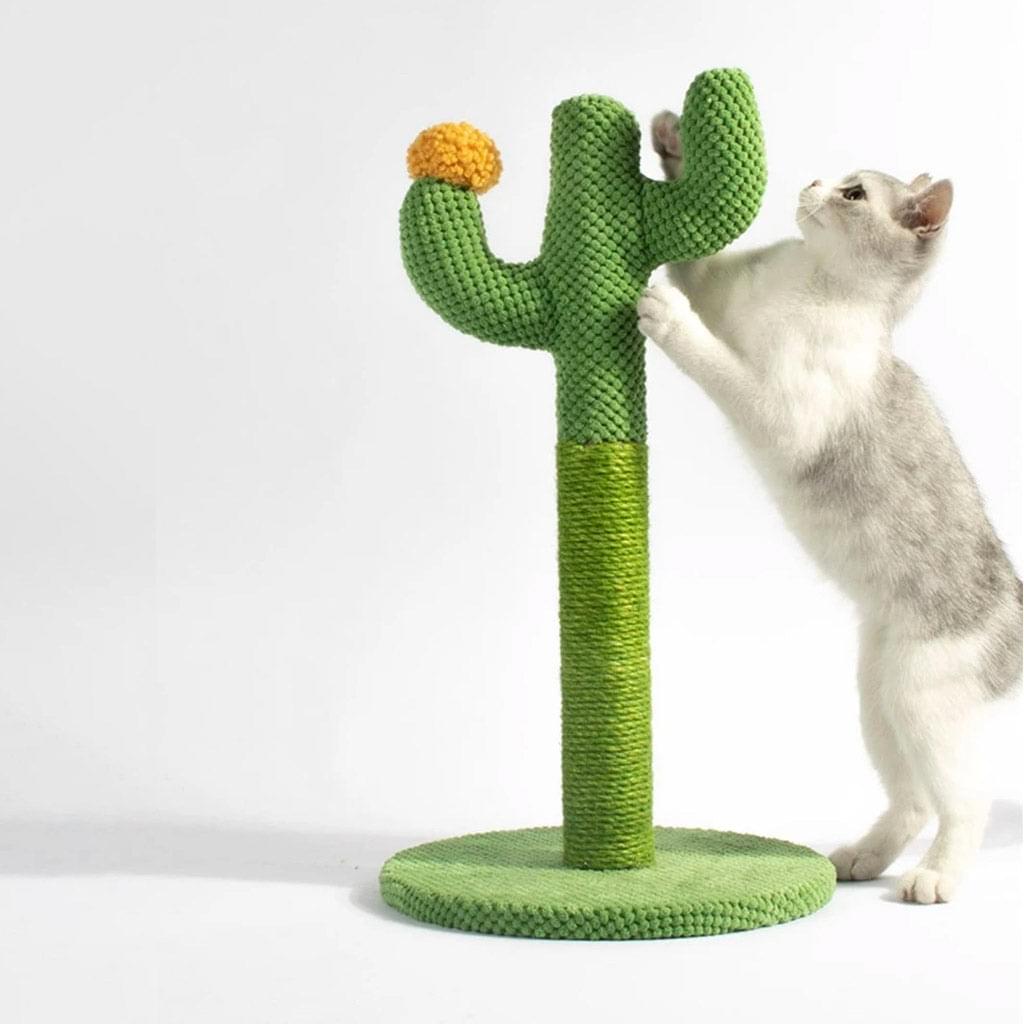 Chat'ctus™ - Le grattoir exotique 🌵